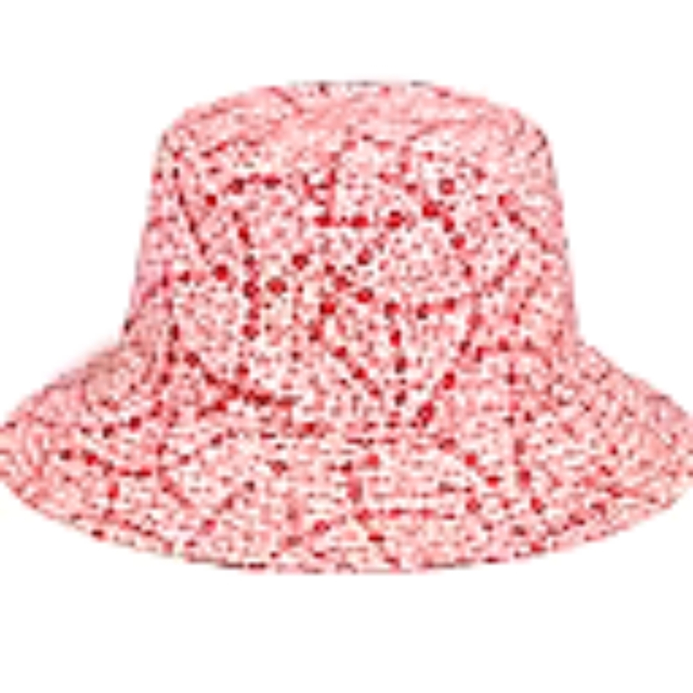 Hat New Never worn